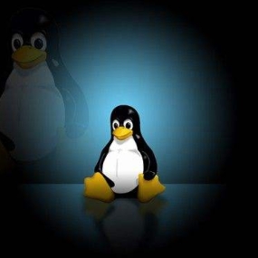 Linux常用系统版本免费下载